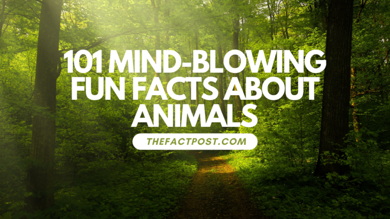 Fun Facts About Animals